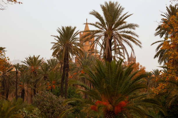 istock Cathedral church of Palermo 1201372658