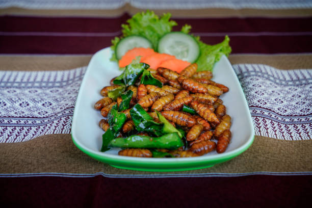 istock Fried and crispy deep fried silk worm, an edible insects. 1201372707