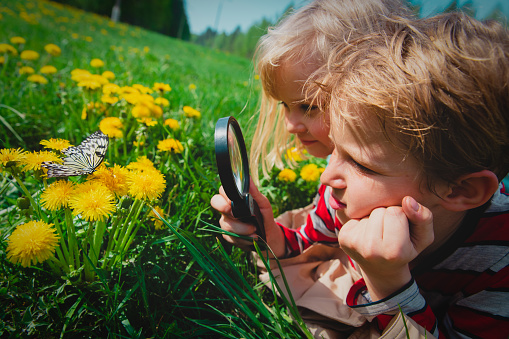 boy and girl looking at butterfy through magnifying glass, kids learning nature
