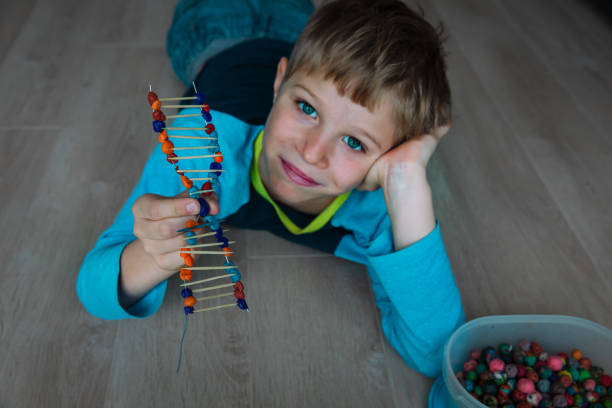 enfant faisant le modèle d'adn des bâtons et de l'argile, de l'ingénierie et du stem - dna science child education photos et images de collection