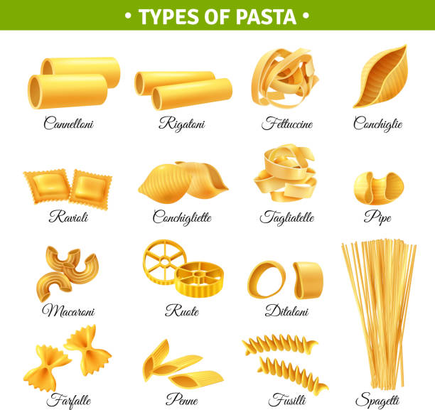 типы макаронных изделий инфографики - pasta shell conchiglie pipe carbohydrate stock illustrations