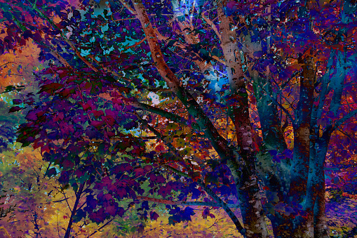 Abstract digital painting of trees in autumn stock photo