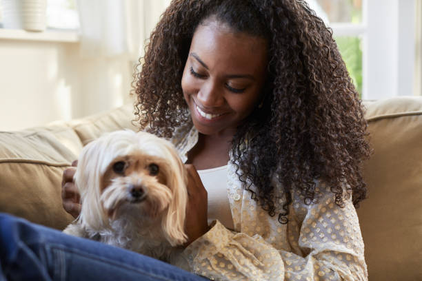 istock Smiling young woman sitting on her sofa playing with her dog 1201384784