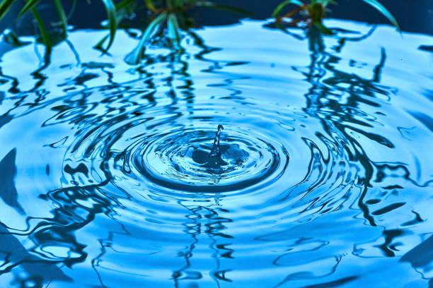 istock Raindrops fall on the surface of the water 1201385870