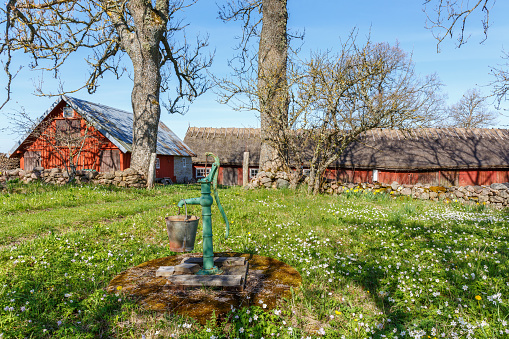Falköping, Sweden - May 07, 2017: Water pump with a bucket in a farm garden and flowering spring flowers