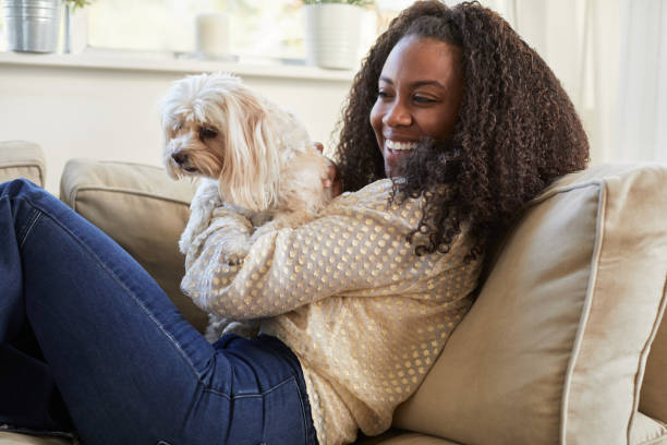 istock Laughing young woman playing with her dog on her sofa 1201388884