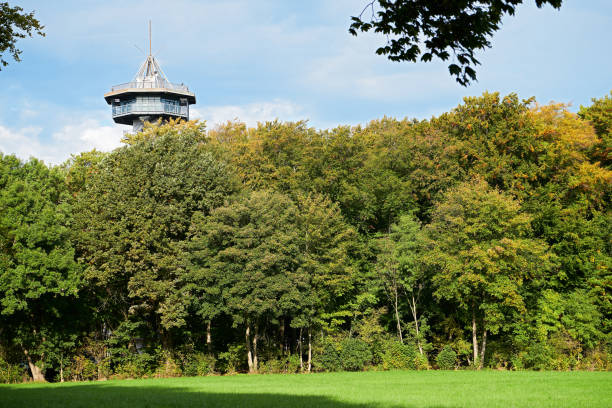 Vaals, Limburg, Netherland - October 13, 2019: King Boudewijn Tower at the three-country point Germany Netherlands Belgium, seen from nearby forest