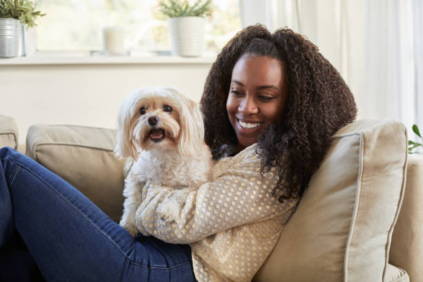 istock Smiling young woman sitting at home with her dog 1201390835
