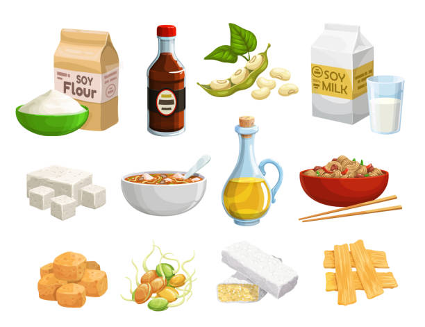 illustrations, cliparts, dessins animés et icônes de produits alimentaires naturels biologiques de soja et repas sains - plant oil