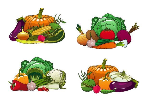 warzywa, kapusta i warzywa na rynku rolnym - vegetable leek kohlrabi radish stock illustrations