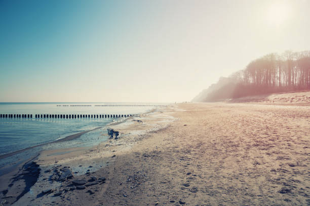 Beach of Baltic Sea in winter