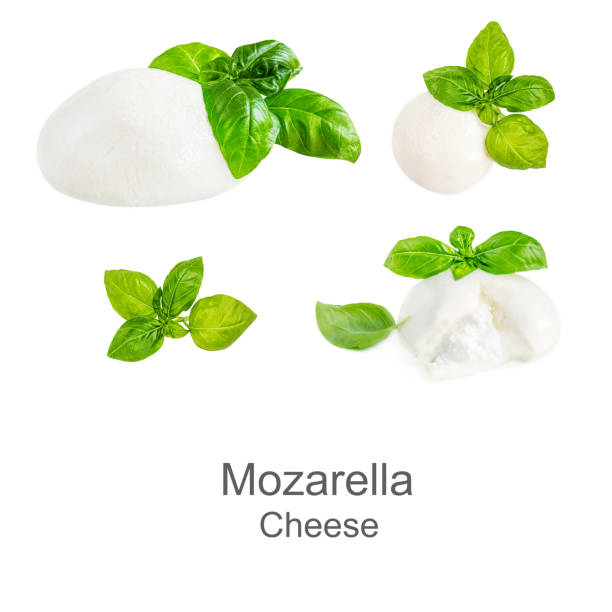 istock Collection of Italian Mozzarella cheese Isolated. Mozzarella ball and basil leaf on white background. 1201395940