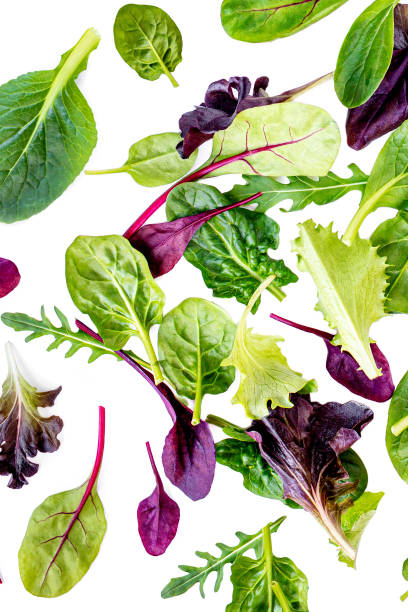 istock Flying Salad Leaves Pattern. Fresh leaves  isolated on white background.   Creative layout  with arugula, lettuce, chard, spinach. Flat lay 1201396070