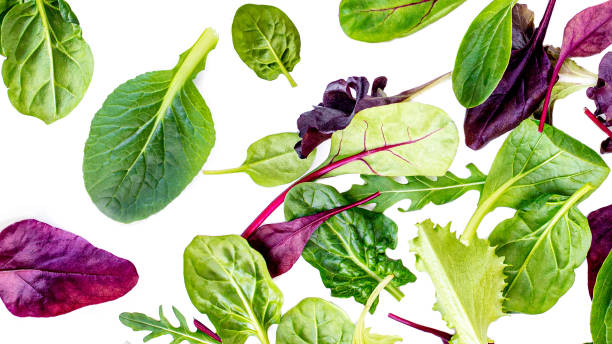 istock Flying Salad Leaves Pattern. Fresh leaves  isolated on white background.   Creative layout  with arugula, lettuce, chard, spinach. Flat lay 1201396090