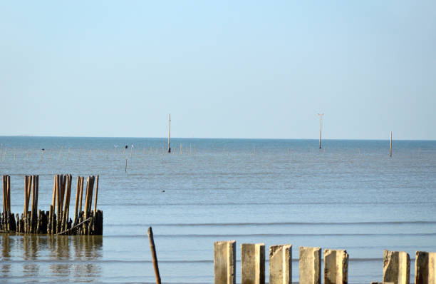 istock Seawall at the Coastal Erosion Problem Area 1201396791