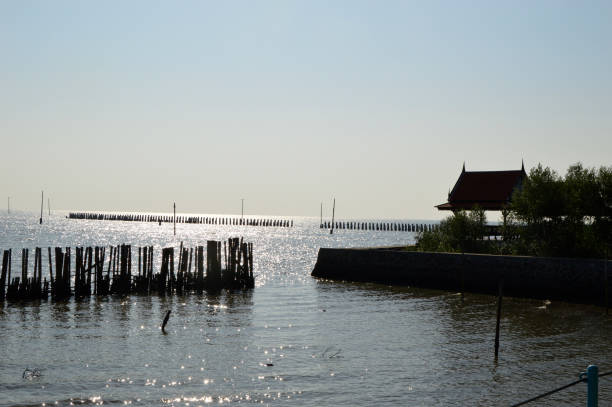 Seawall made by staking the concrete poles as the barrier to reduce the coastal erosion problem at the coastal area of Bangkok Bay