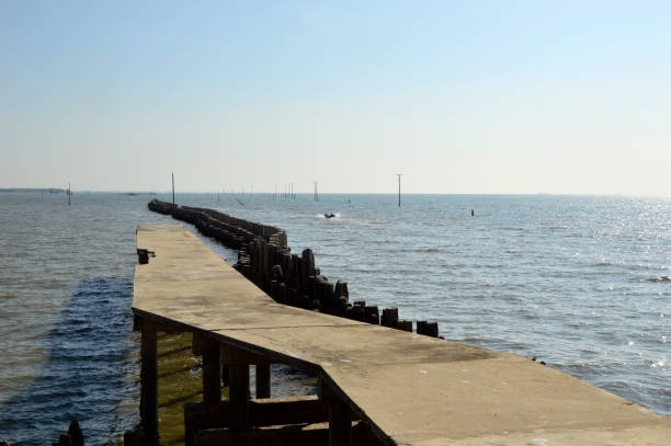 Seawall made by staking the concrete poles as the barrier to reduce the coastal erosion problem at the coastal area of Bangkok Bay