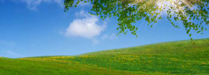 empty idyllic green hilly landscape for background