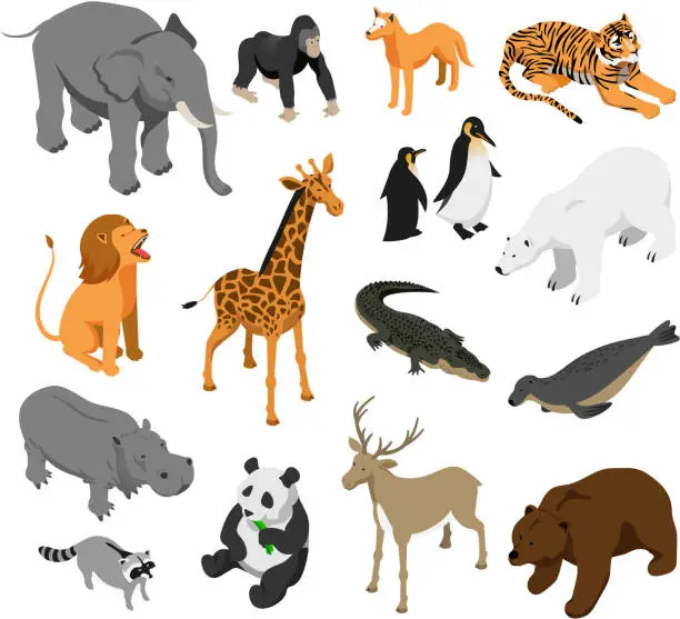 Vector illustration of isometric zoo animals set