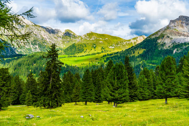 istock Green meadows  in Dolomites Alps 1201407584