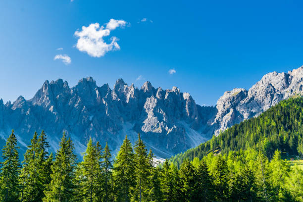 istock Dolomites, surrounded by pine forest in a sunny day. 1201407600