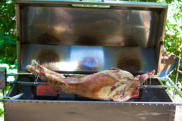 A whole lamb on a commercial spit braai roasting on a rotating skewer working with gas in the outdoors South Africa