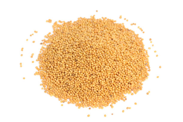 istock Mustard Seeds Isolated on White Background 1201408582