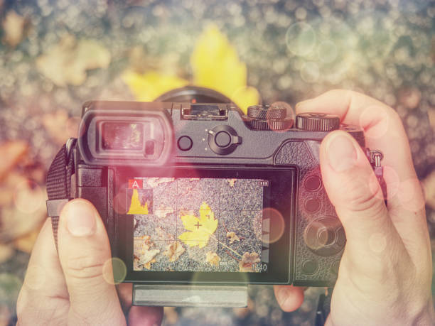 istock Digital camera on vintage autumn leaves abstract background 1201410680