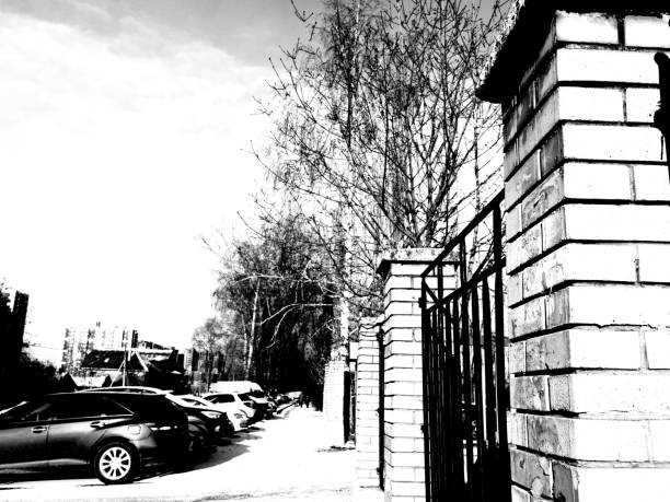 fence in closeup in black and white