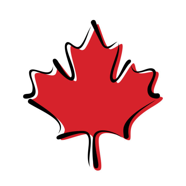 ilustracja wektorowa liści klonu - canadian culture leaf symbol nature stock illustrations