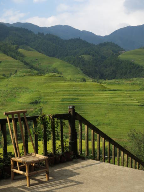 Artisan chair on terrace, overlooking longsheng rice paddies stock photo