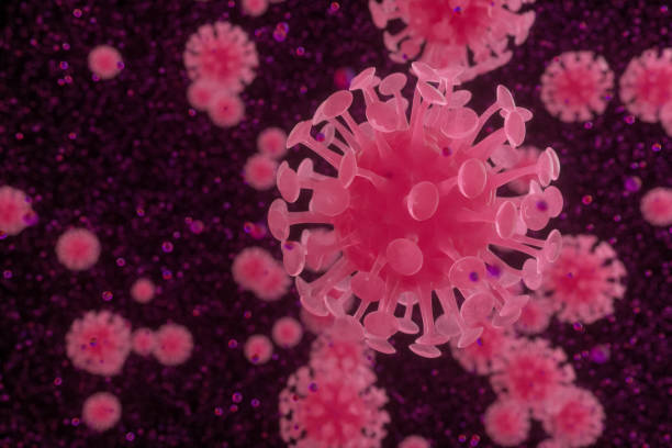 pneumonia coronavirus - flower head close up cut flowers cut out imagens e fotografias de stock