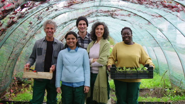 Multi-ethnic group of gardeners in greenhouse