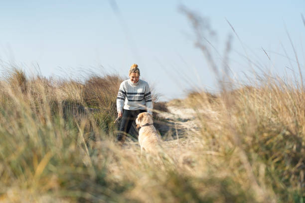 giovane donna con il suo cane sulla spiaggia - jogging autumn young women women foto e immagini stock