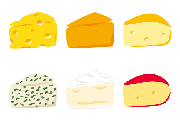 ilustrações de stock, clip art, desenhos animados e ícones de various cheeses - dairy farm dairy product emmental cheese cheese