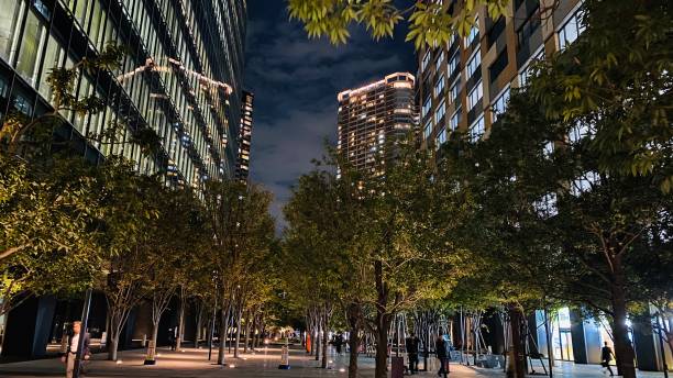 istock Tokyo Bay Area at night 1201431532