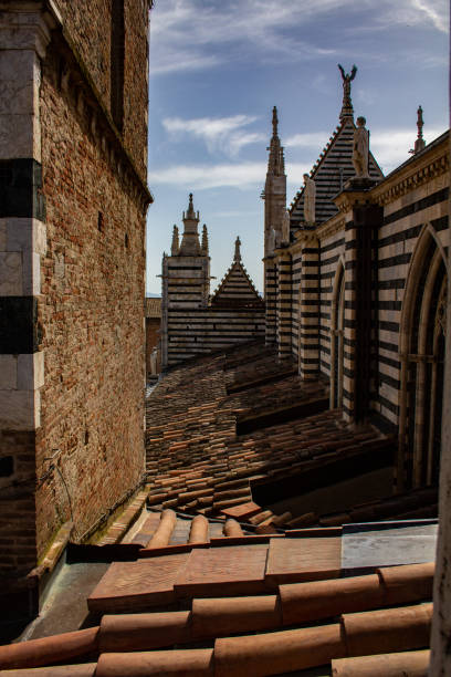istock Rooftops of the Duomo di Siena, Italy 1201435585