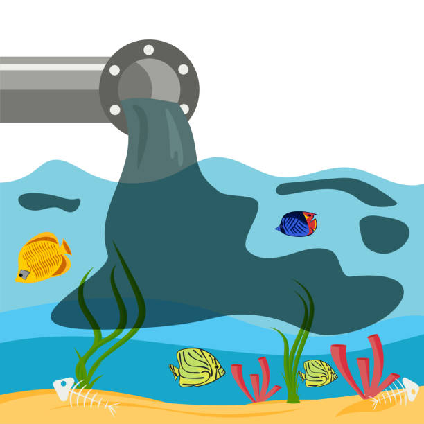 ilustrações de stock, clip art, desenhos animados e ícones de pollution of oceans and seas. emissions of hazardous and toxic substances into the sea, which leads to the death of marine life. vector graphics. - toxic substance spilling pouring bottle