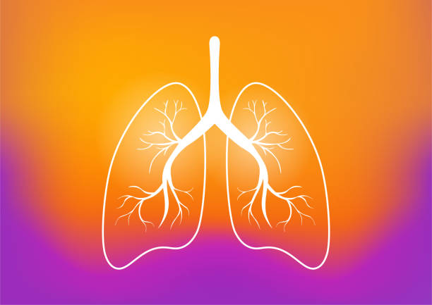 ilustraciones, imágenes clip art, dibujos animados e iconos de stock de concepto de pulmones humanos. - cáncer tumor ilustraciones