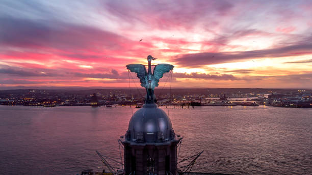 aves hepáticas de liverpool en la puesta del sol - merseyside fotografías e imágenes de stock