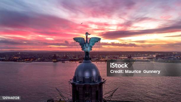 Liverpool Liver Birds In The Sunset Stock Photo - Download Image Now - Liverpool - England, Royal Liver Building, Urban Skyline