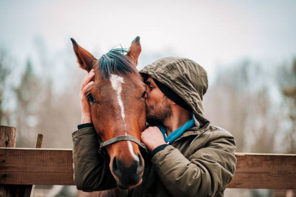 Young man hugs a horse. Autumn outdoors scene
