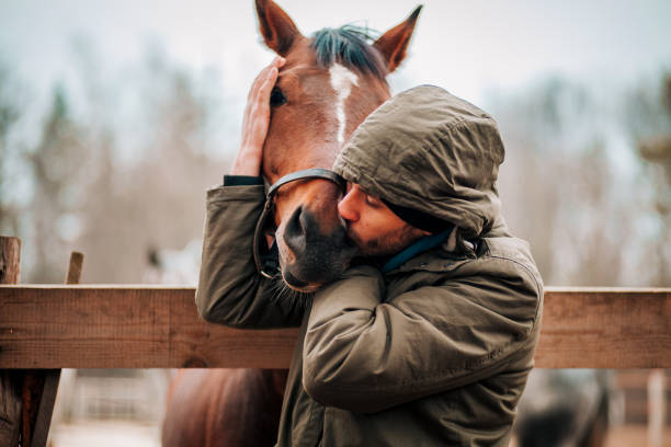 istock Young man hugs a horse. Autumn outdoors scene 1201443391