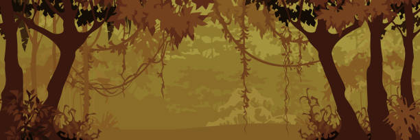 panorama des cartoon laubwaldes mit kriechkriechen - liana cartoon bush tropical climate stock-grafiken, -clipart, -cartoons und -symbole