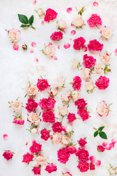 Arrangement Of Flowers Background Roses Scattered On A Vintage Surface  Stock Photo - Download Image Now - iStock