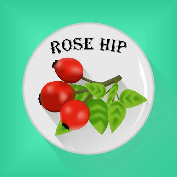 Vector illustration of Rose hip seasoning sticker flat icon vector image