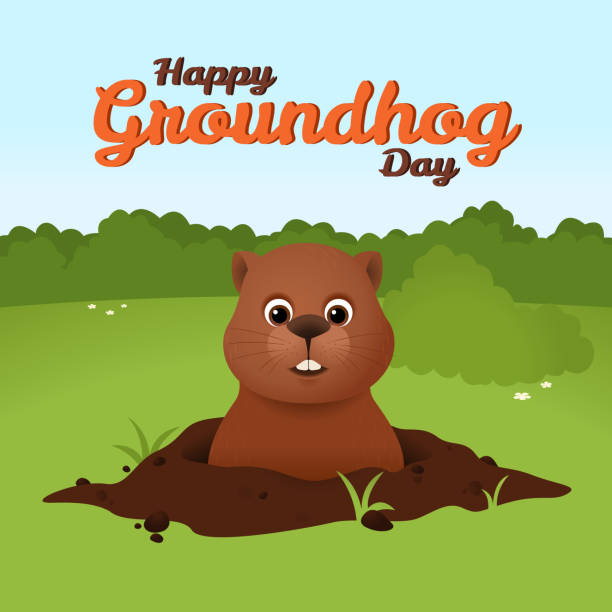 ilustraciones, imágenes clip art, dibujos animados e iconos de stock de tarjeta del día de la marmota feliz - groundhog