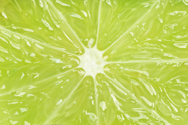 istock Perfect green lime slice close up 1201451043