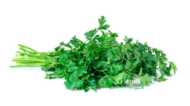 istock Fresh parsley isolated on a white background, vegetable. 1201455995