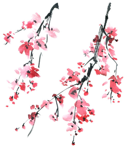 blüten-sakura-baum - clause stock-grafiken, -clipart, -cartoons und -symbole